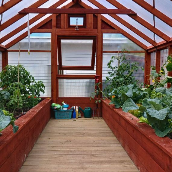 Macrocarpa timber greenhouse built in New Zealand using untreated rough sawn locally milled wood, designed for eco-friendly growing